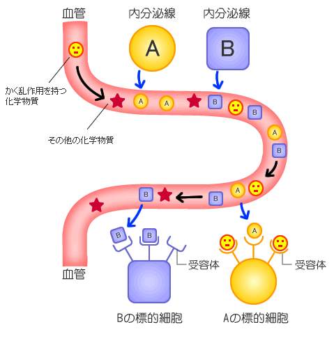 内分泌かく乱作用