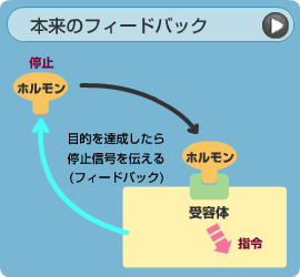 内分泌かく乱作用