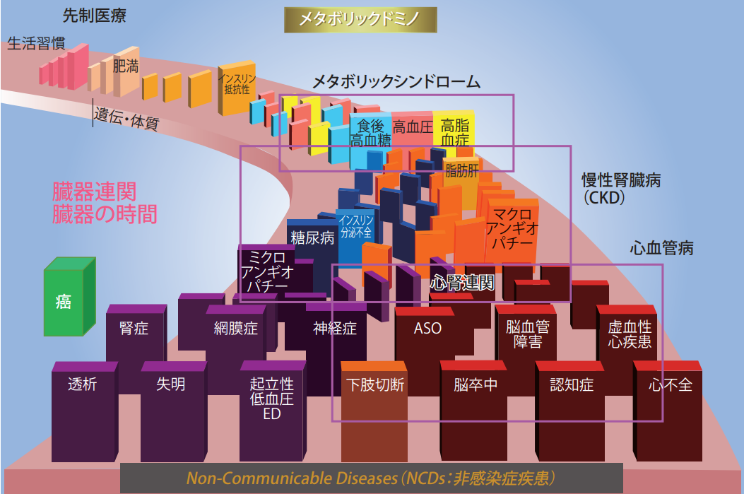 【生活習慣病の罠】メタボリックドミノと薬害ドミノ