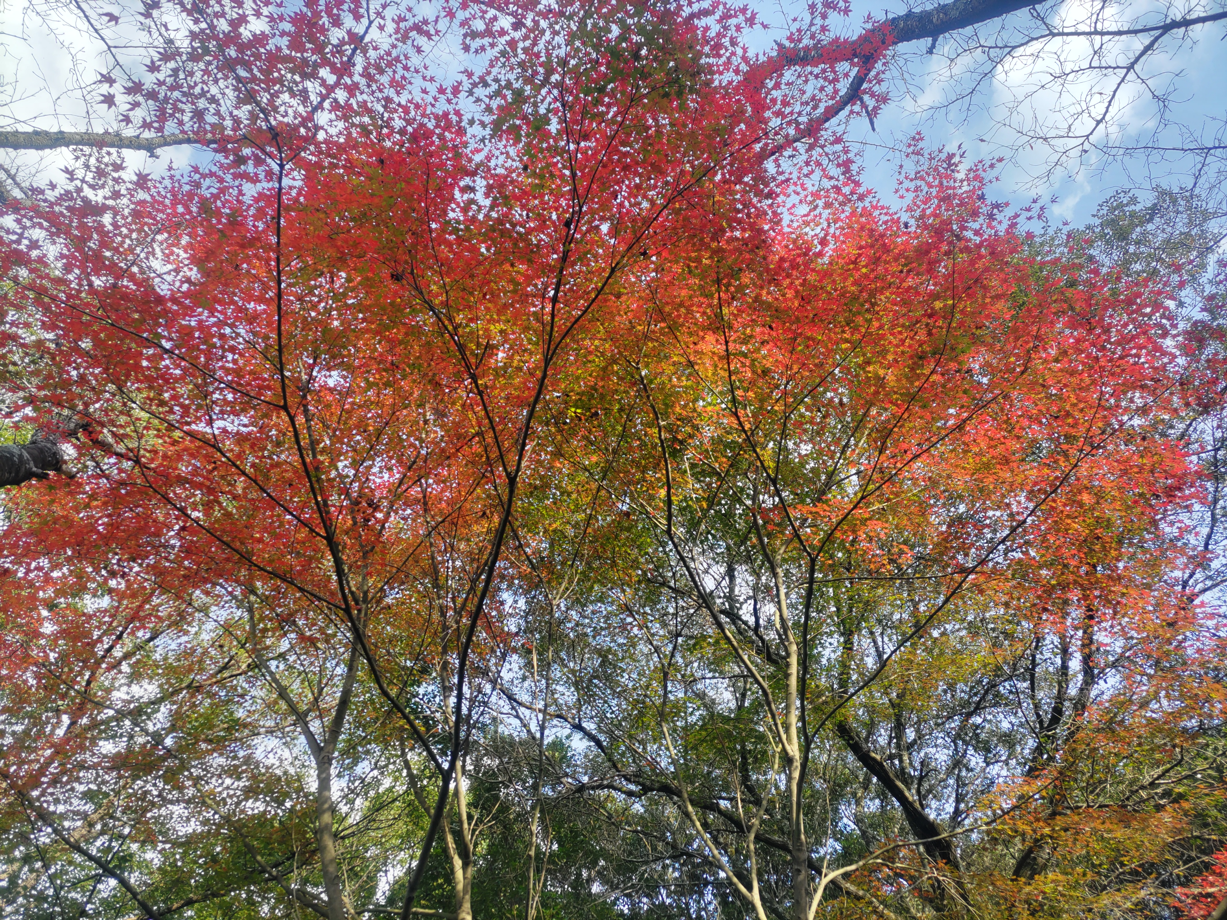 沈んだ心が感謝に変わった日 - 神様の導きと突破の恵み