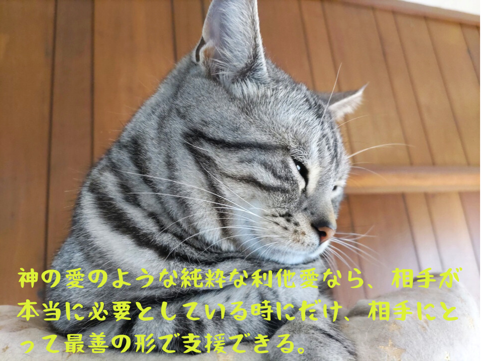 【依存ー共依存】神の愛のような純粋な利他愛なら、相手が本当に必要としている時にだけ、相手にとって最善の形で支援できる。