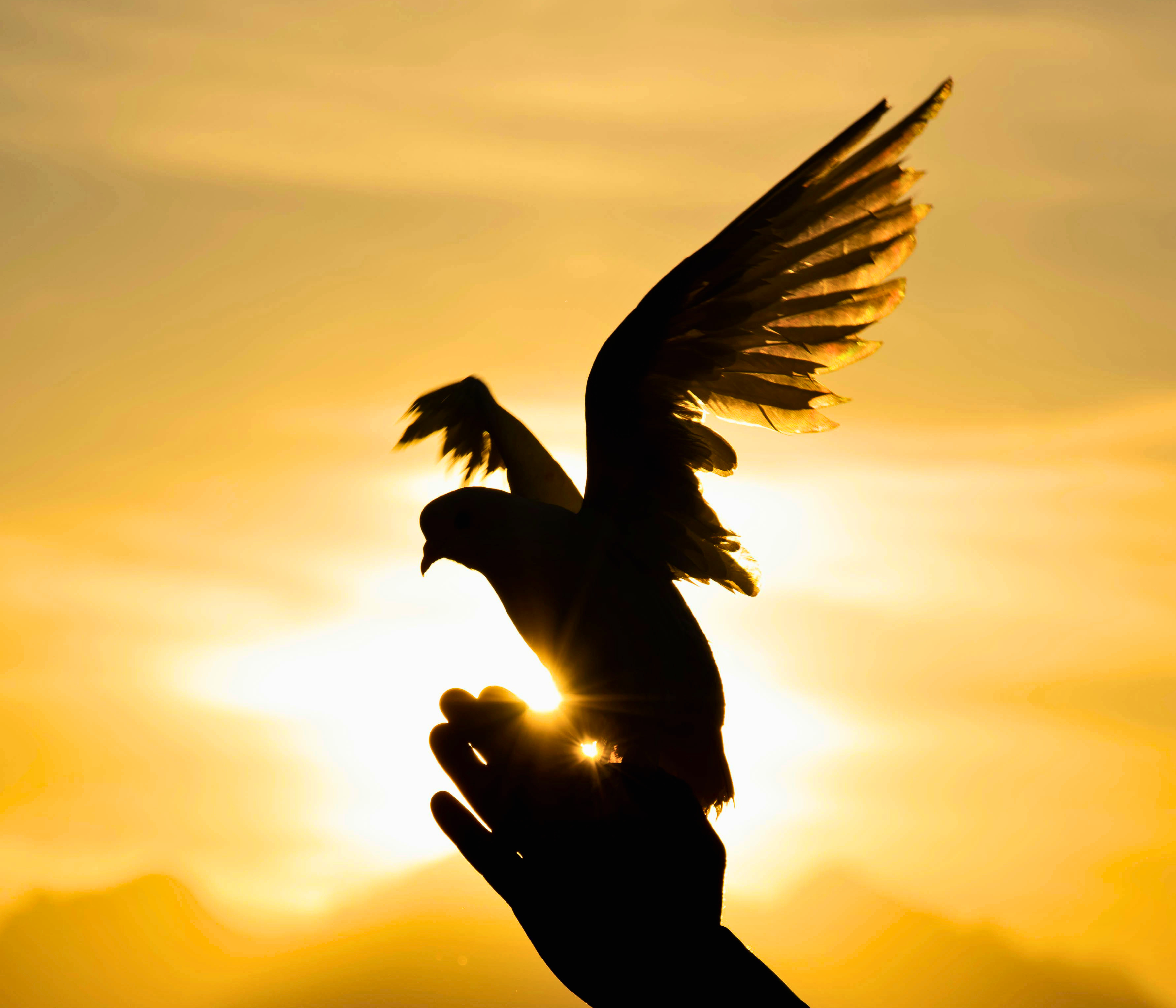 お金があっても不安だった私が、崖っぷちになっても希望を持てるようになった理由