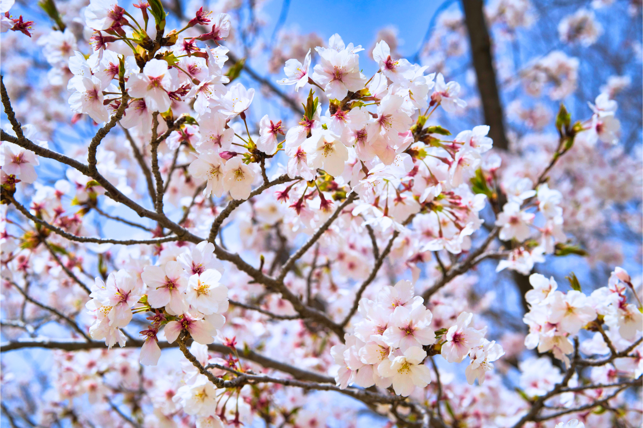 神様に祈り求めることで、できなかったことができるようになった話