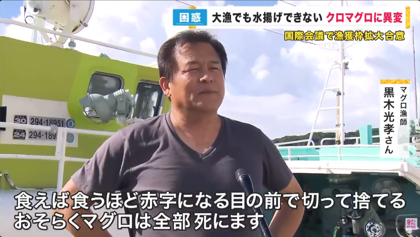 【マグロ規制の闇】「海の資源を守る」という大義名分の裏で、誰が笑い、誰が泣いているのか？